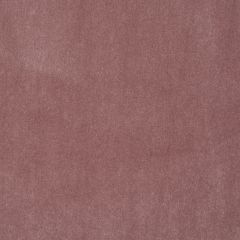 Hemsby Mauve