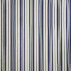 Regatta Stripe Denim