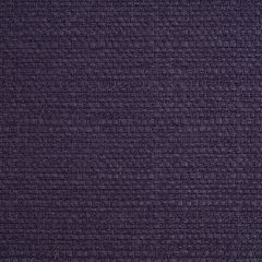 Shetland Bilberry